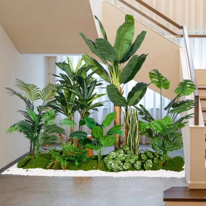 cây decor