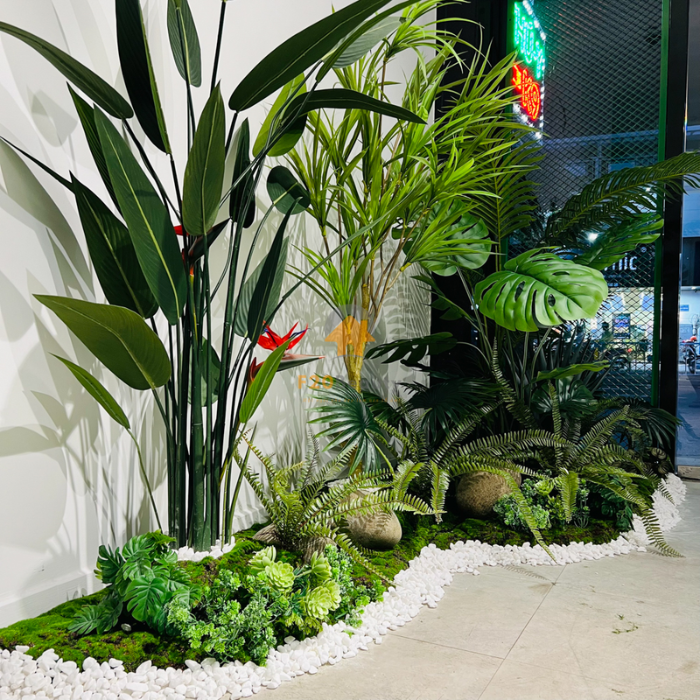 cây decor