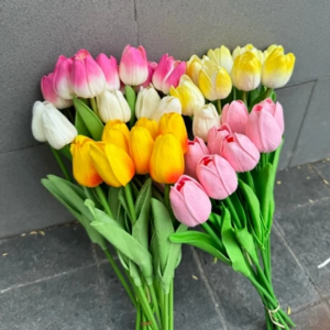 hoatulipdecor