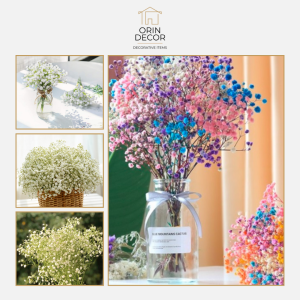 Bình Hoa Baby Orin Decor trang trí bàn siêu xinh.