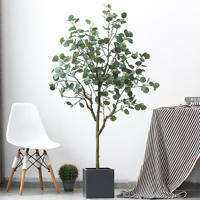 decor cây