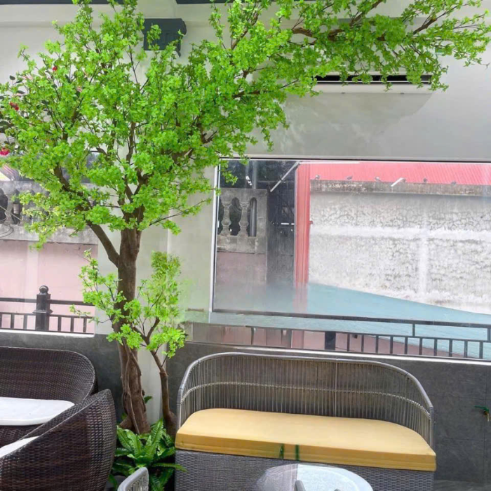decor cây giả