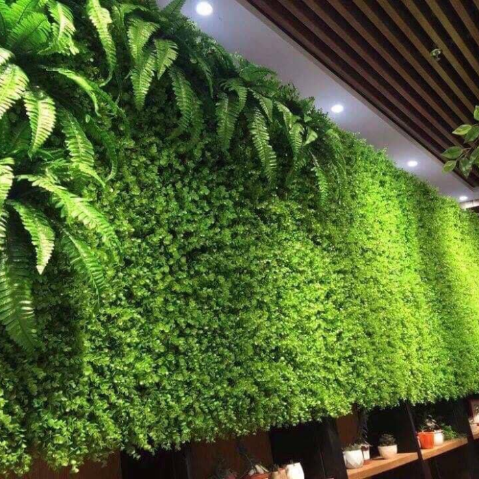 decor cay12