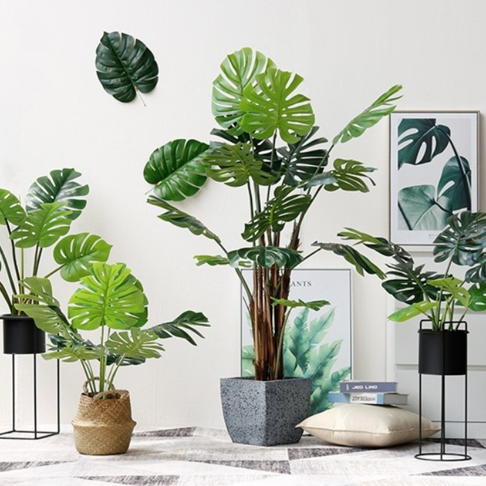 Decor Chậu Cây